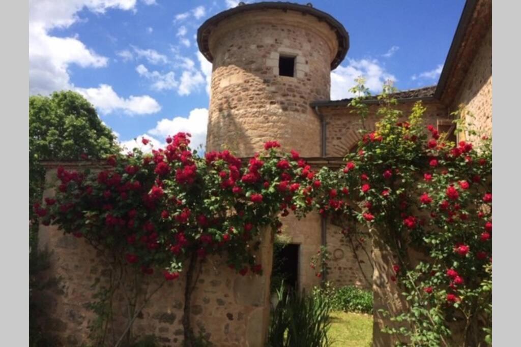 Domaine De La Durantie Duplex Vieux Chateau Castelnau-de-Montmiral Exterior photo
