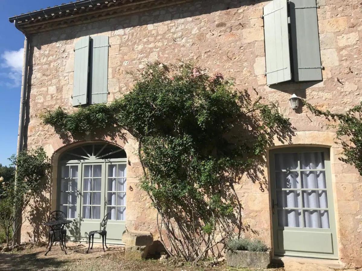 Domaine De La Durantie Duplex Vieux Chateau Castelnau-de-Montmiral Exterior photo
